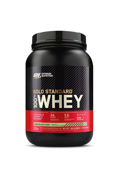 Optimum Nutrition Gold Standard 100% Whey Protein, Chocolate Mint, 2 LB