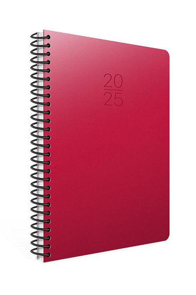 Gıpta 2025 Model Red Weekly Agenda with Spiral - 20X28 Cm, 422-Sek