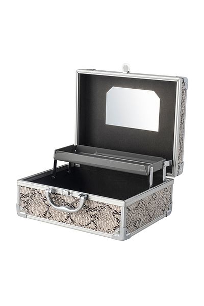 Bianca Bella Snake Patterned Metal Accessory and Makeup Bag - Sn-81747
