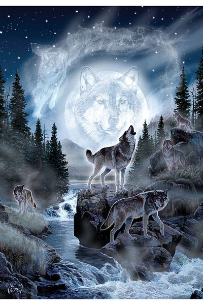 Anatolian Puzzle 500 Piece Jigsaw Puzzle - Moonlight 3636