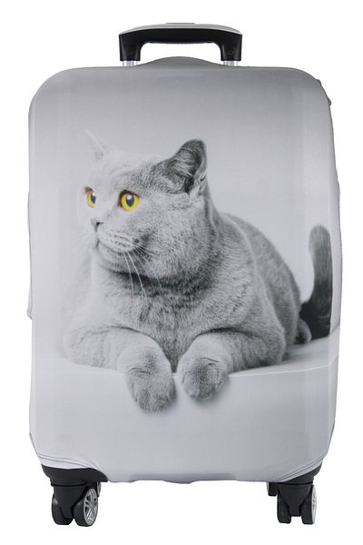 MY SARACİYE Case for Suitcase (My # 77 Gray Cat)