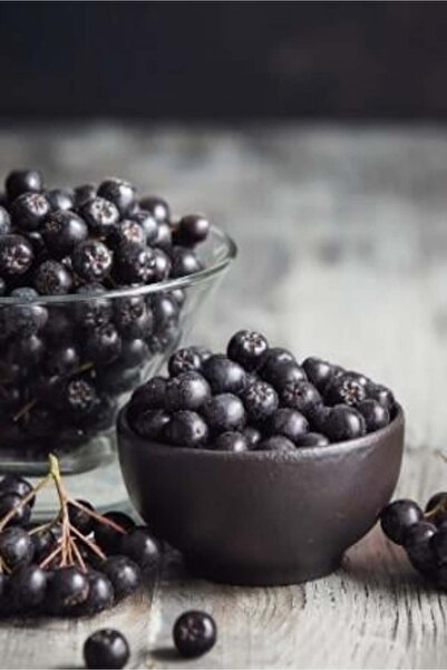 keteci Taze Aronya - 1 Kg