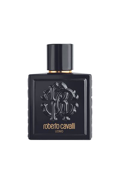 Roberto Cavalli Uomo Edt Vapo 100 ml