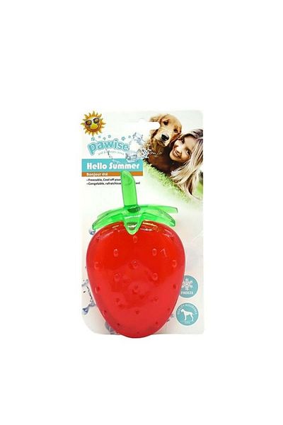 Pawise Summer Dog Toy Strawberry Yktsn