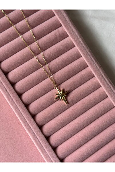 MİOSAPRİVE 14K Altın Kaplama Kuzey Yıldızı Çelik Kolye