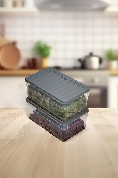 Nesto Home 2500 ml Deep Refrigerator - Set of 2 Organizer, Freezer and Microwave Storage Container 2X2500