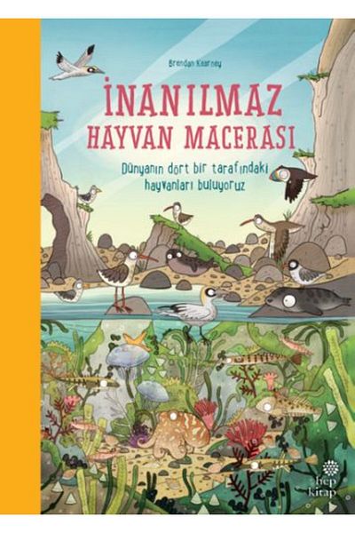 Karma Kitaplar Amazing Animal Adventure (Hardcover) (with Protection Bag)