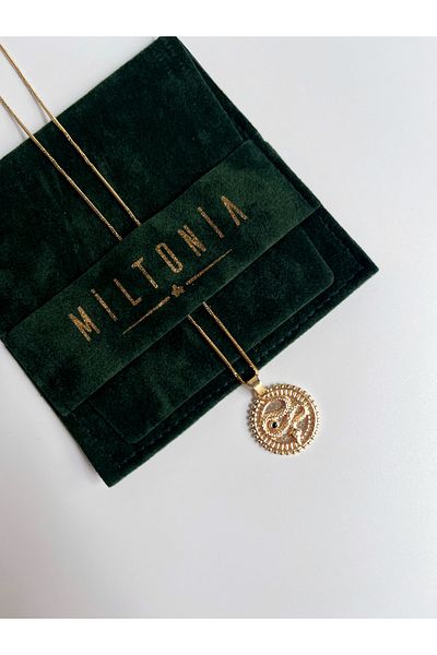 Miltonia Snake Medallion Steel Necklace