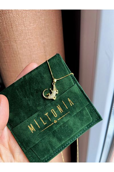Miltonia Zircon Stone Lizard Steel Necklace