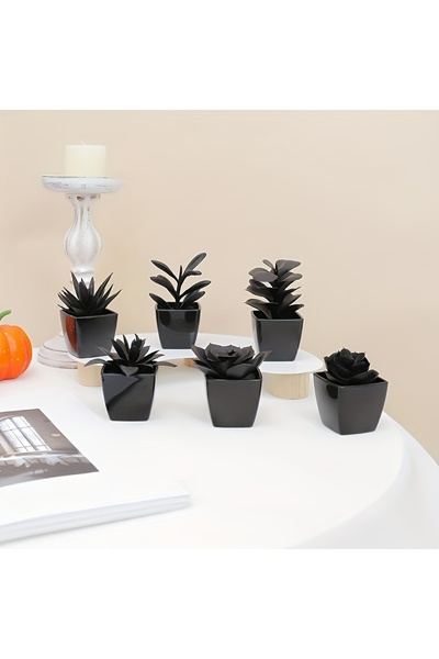 Choice 6 قطع 23576ZH6-heise 6 قطع محاكاة قسم أسود لحمي، غرفة المعيشة، شرفة ال...