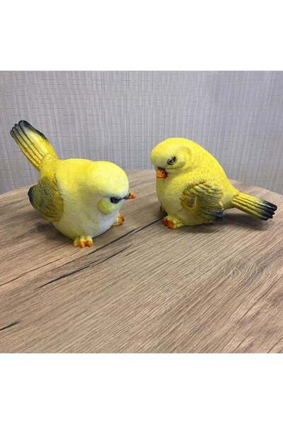 Kare Home Tombul Kuşlar 2'li Set Sarı