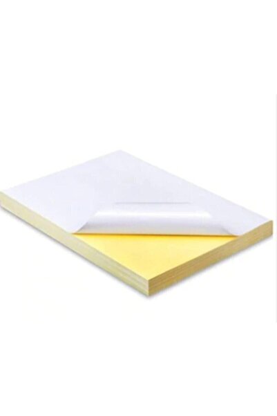 Adestor Çözüm Kağıt 100 Adet Yapışkanlı Etiket Parlak Kuşe A4 Ebat