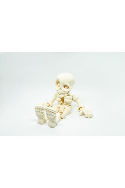 BloomLab İnsan İskelet 3D Hareketli Model Küçük Boy