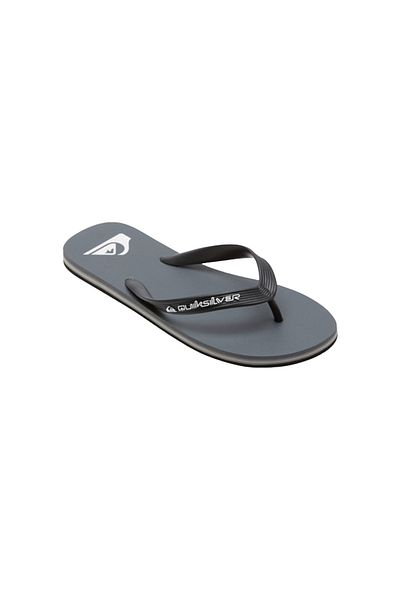 Quiksilver Men's Slippers Molokai Core Gray Men's Slippers Aqyl101325
