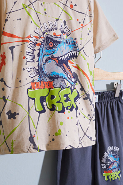 Cansın Mini Boy's Smoked T-rex Printed Shorts Set - Text 18710