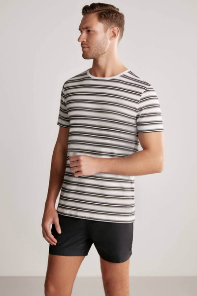 Hemington White Gray Striped Crew Neck Pure Cotton T-Shirt