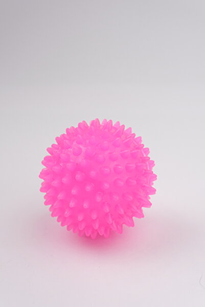 Snailtoys Rengarenk  Düdüklü Kirpi Top 6cm