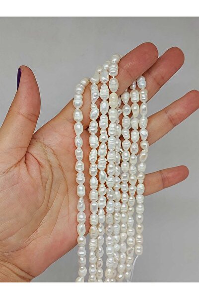 Yasamtohumu Bela biserna žica - 5*8mm (53342)