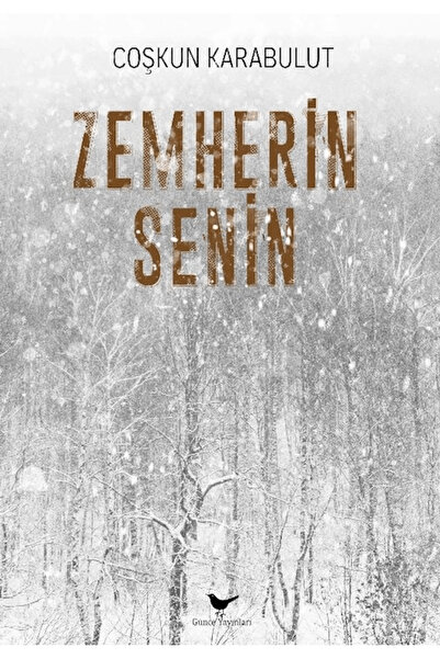 Günce Yayınları Zemherin Senin / Coşkun Karabulut / Günce Yayınları / 9786258...