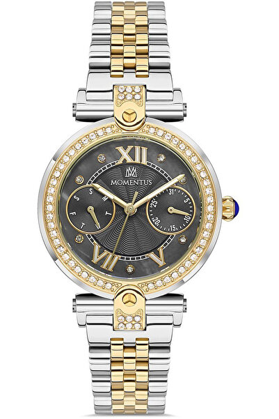 Momentus Ss246T-05Sg