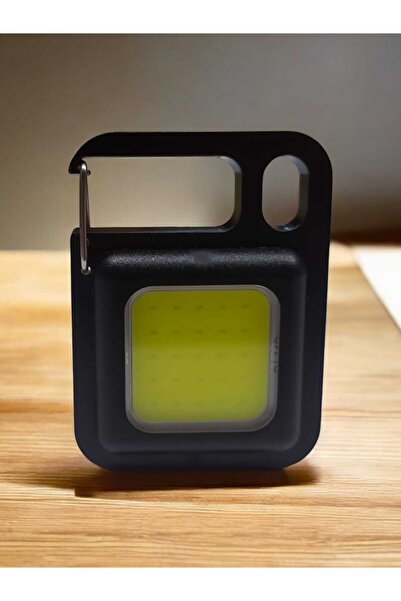 Mor Kayısı PİLLİ 25 COB LED ANAHTARLIK