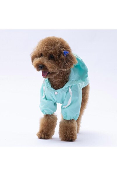Pettrend Mint Mont Köpek Mont Köpek Kıyafeti Köpek Yağmurluğu