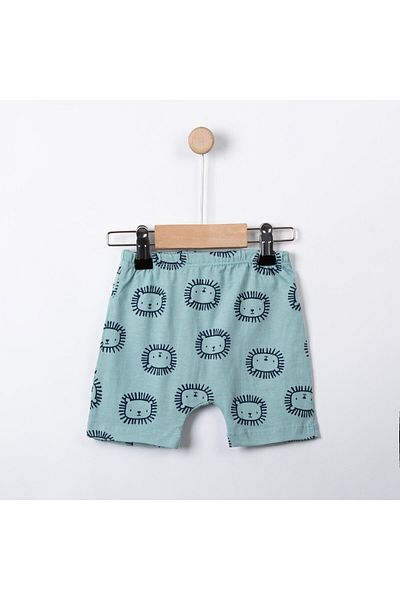 Lolons Baby Boy Shorts - Teddy Bear Printed, Rubber Waist