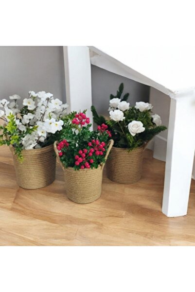 bayram taşcıoğlu home desing 3 Adet Dikilebilir Saksı, Sepet, Saksılık,Hasır ...