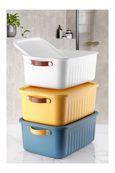 Bayev 3 Pieces 10 Lt Mix Organizer Box with Lid - Decorative In-Cabinet Organizer