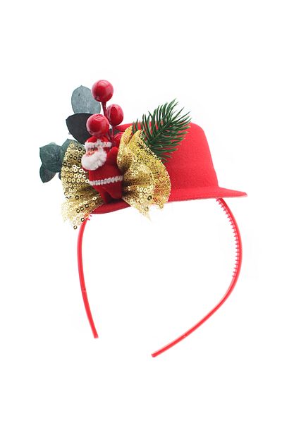 Lora Wedding Christmas Themed Cute Red Color Party Hat with Natural Eucalyptus and Neol Dad