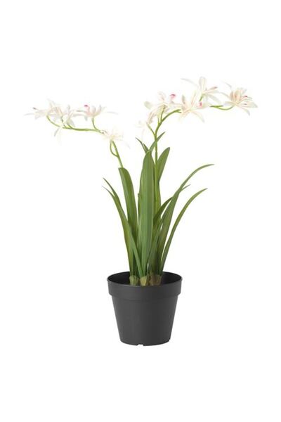 IKEA FEJKA yapay bitki, 12 cm