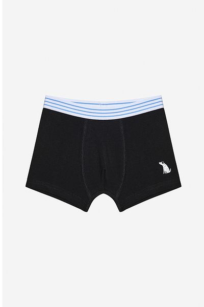Penti Boy's Family Dog 2-Piece Multicolor Boxers