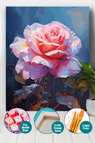 Picasso World Hobby Art Sayılarla Boyama Numaralı Tuval Seti Fırça Boya Dahil...