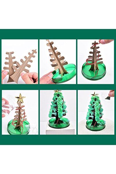 Busstier Magic Tree - Educational and Fun Crystal Tree Growing Set for Kids and Adults