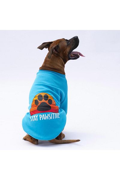 Pawstar Turquoise Carmel Big Breed Dog Sweat-Dog Outfit