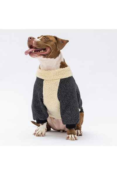 Pawstar Black Alaska Large Breed Dog Sweat-Dog Apparel