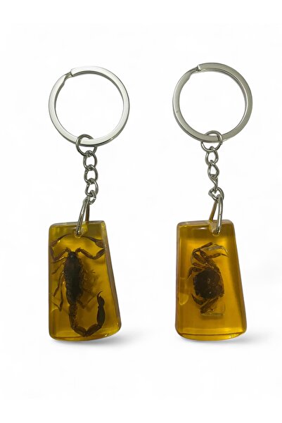 asilbaba Akrep Ve Yengeç Fosilli Anahtarlık 2li TY05