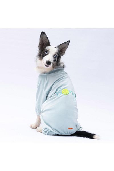 Pawstar Mint Angers Big Breed Dog Jumpsuit-Dog Outfit