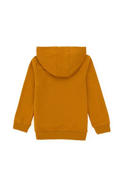 U.S. Polo Assn. Boy's Hooded Basic Sweatshirt - Mustard 50289134 -Vr072