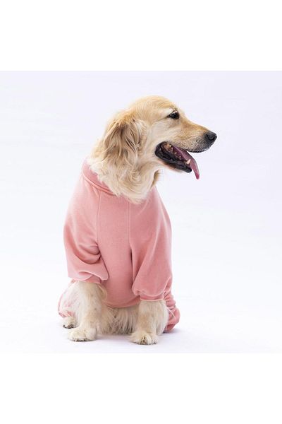 Pawstar Rose Angers Big Breed Dog Jumpsuit-Dog Outfit