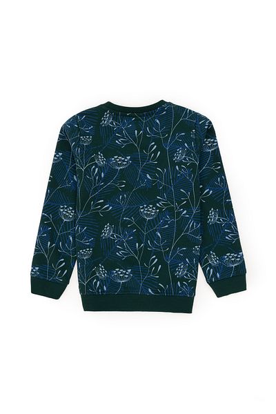 U.S. Polo Assn. Boy's Dark Green Crew Neck Sweatshirt 50290636 -Vr079