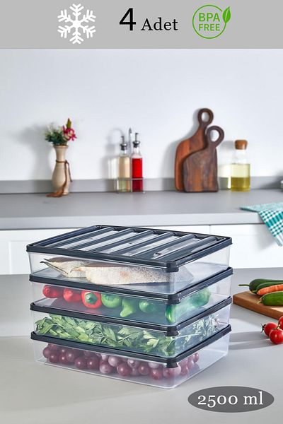 Livonelli 4 Pieces 2500 ml Refrigerator and Microwave Storage Container - Fridge Organizer