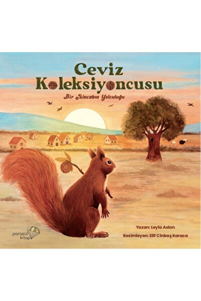 Paraşüt Kitap Ceviz Koleksiyoncusu