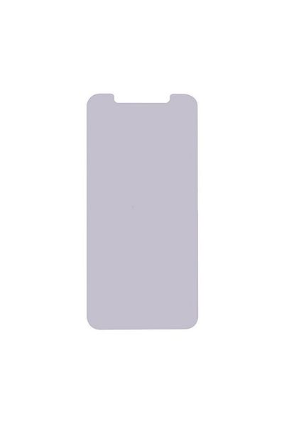 Nettech Teknonet iPhone X Compatible Oca