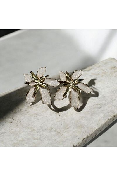 Store Earrings Steel