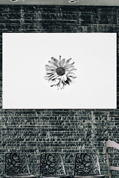Limitless Design Tournesol Hd Bask � �   Canvas Painting