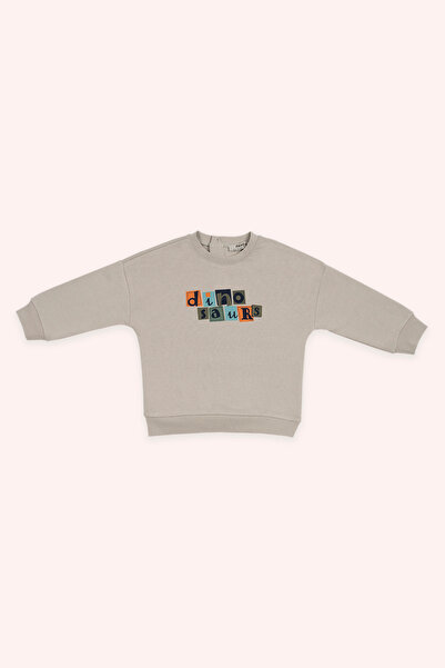 Panço Erkek Bebek Baskılı Bej Sweatshirt