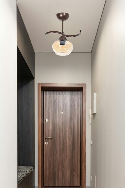 Modavize Fuji Living Room - Brown Single Chandelier - Kitchen and Bedroom - Honey Glass