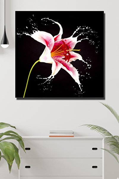 Limitless Design Εκτύπωση HD σε καμβά