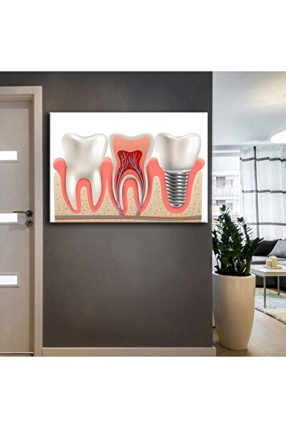 Limitless Design Tabeluri de la Policlina de Sănătate Orală și Dentară, Dinți...